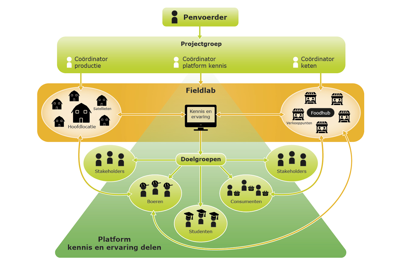 Organogram van het project